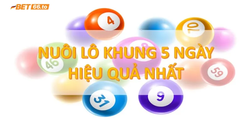 Lô khung 5 ngày